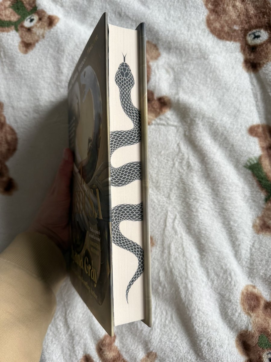 Brie 🍉 tweet media