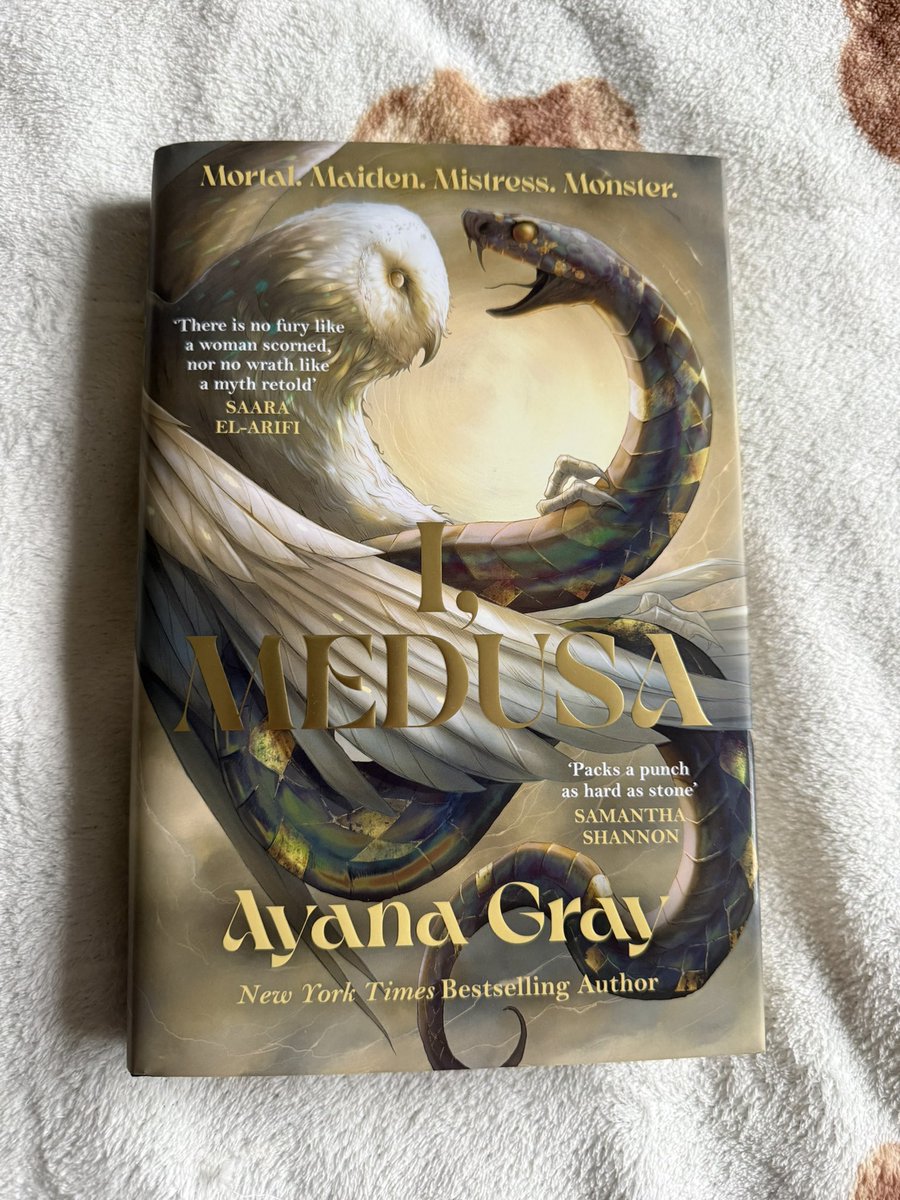 Brie 🍉 tweet media