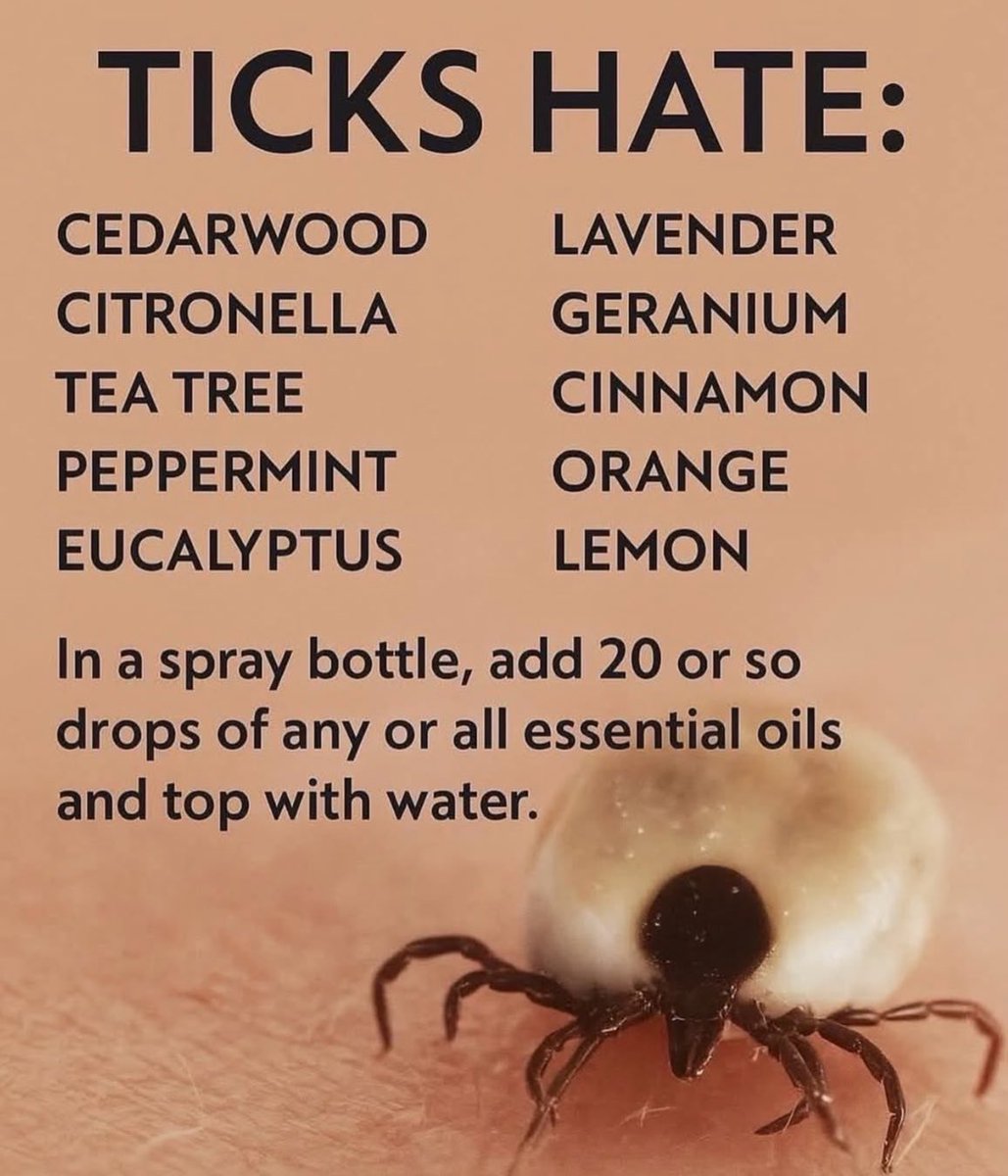 Spunky Conservative Patriot™ tweet media