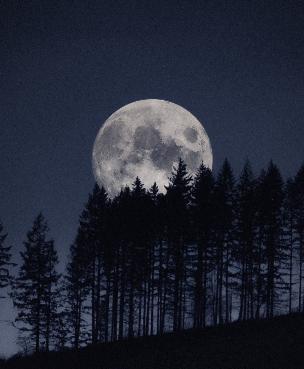 Cihan Aydın tweet media