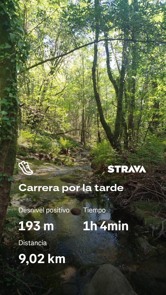 jorge 10-1966🍍 tweet media