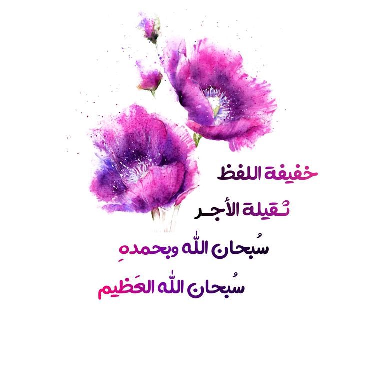 منال بربر manal tweet media