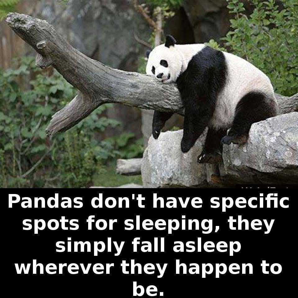 Beth Spieker tweet media