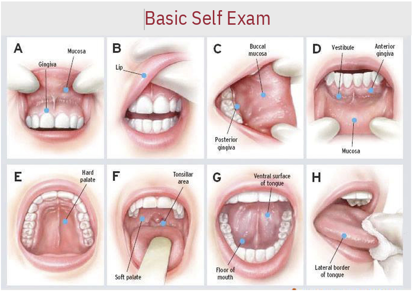 UTMB Oral and Maxillofacial Surgery tweet media