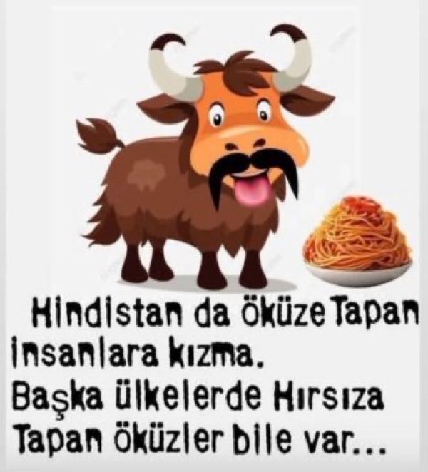 T.C GÜL.💛🇹🇷💙 tweet media
