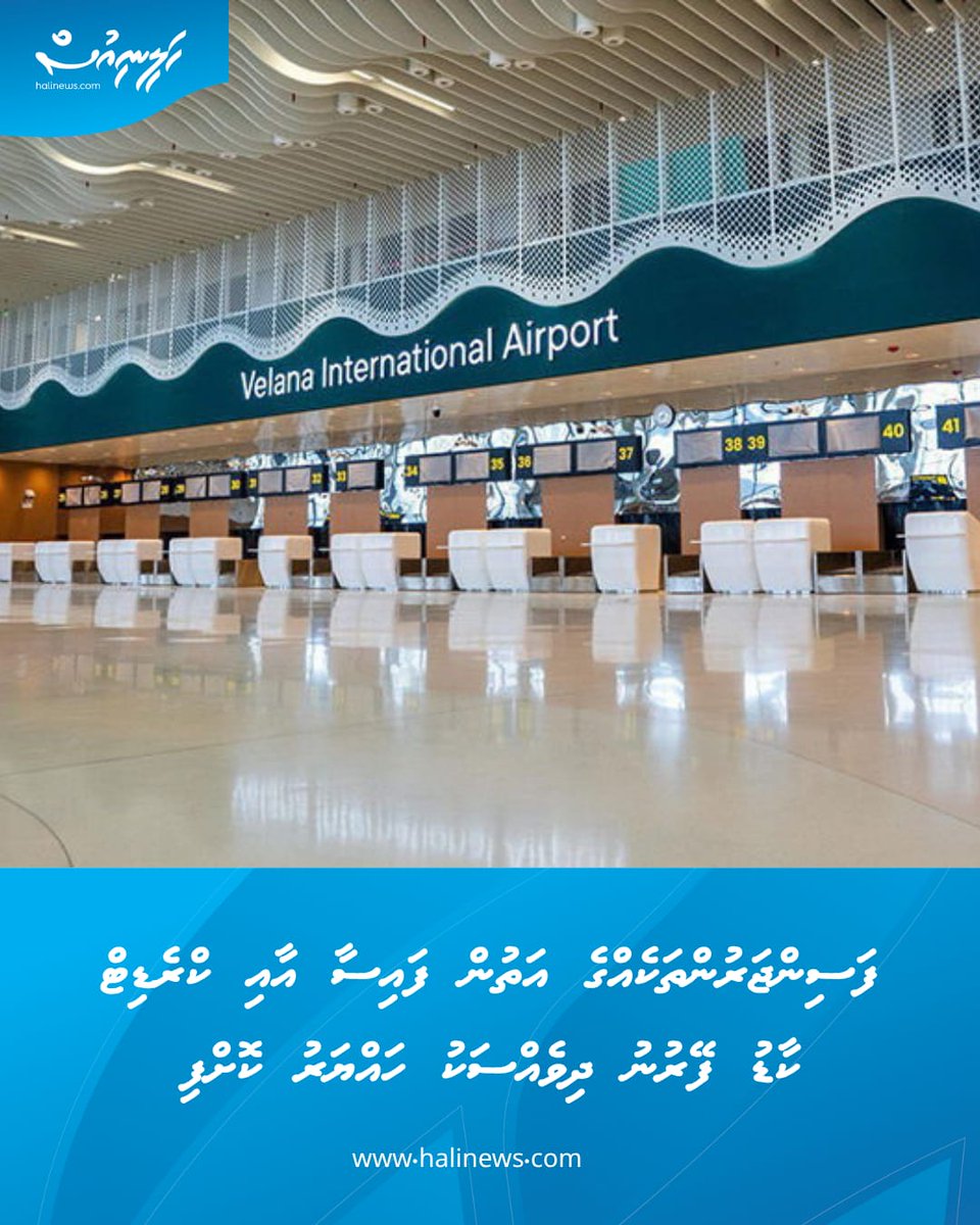 Halinews tweet media