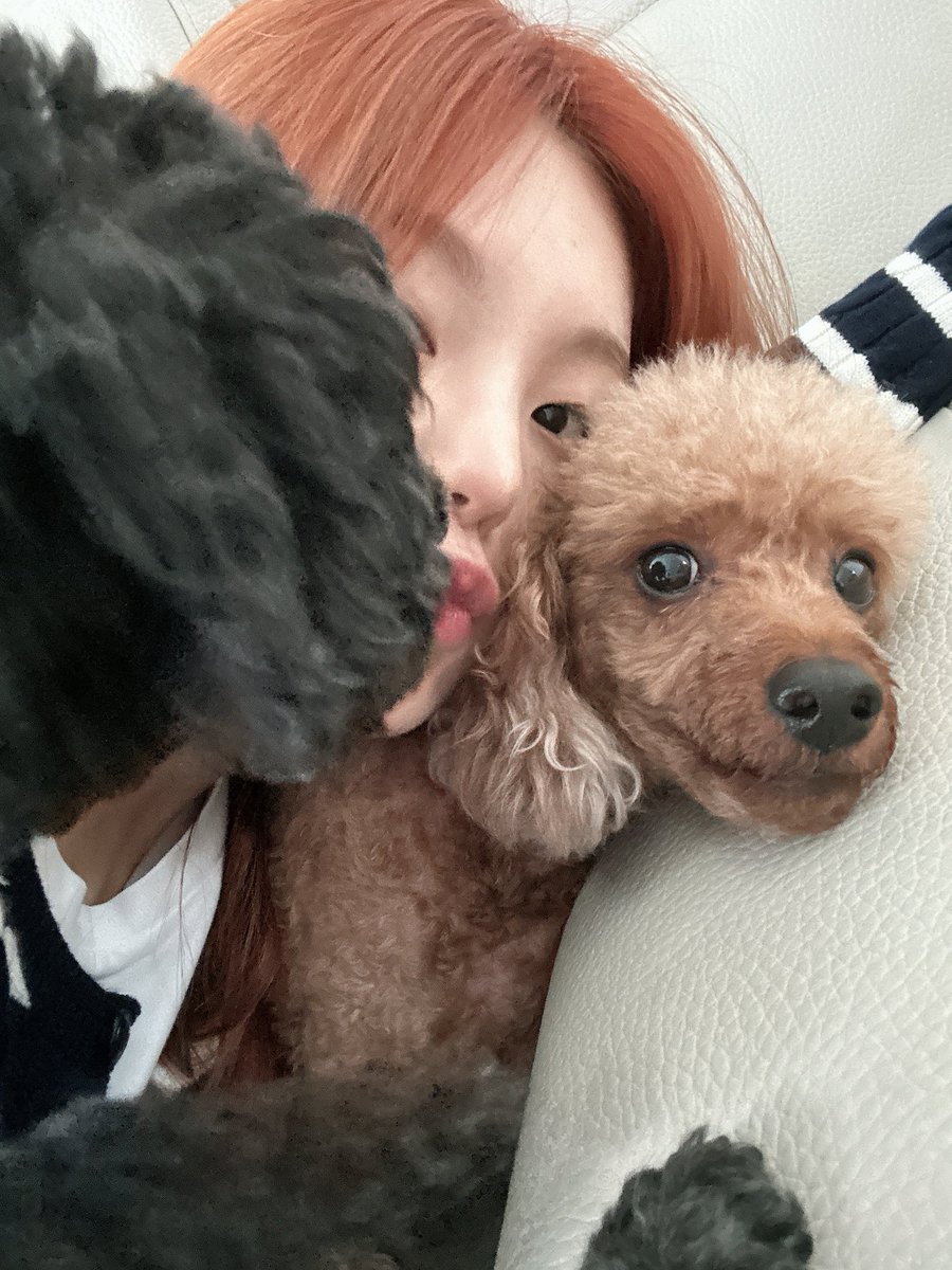 🖤🫧

(紅蔘要努力好起來再陪禮志久一點呀🥺🫳🏻)

🐈‍⬛：紅蔘最近動了一場大手術，因為年紀大了身體變得很虛弱，幾乎已經做好要送走紅蔘的準備，所以心裡很煎熬。他變得很瘦，而且腸胃很不好常常拉肚子，去醫院也沒用，就這樣一直瘦下去，本來動完手術後只需要體重上去就好了，但反而下降了……
🐈