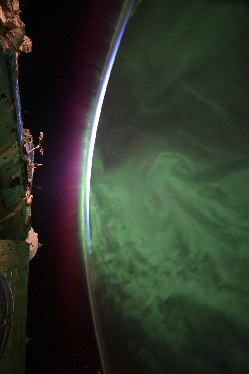 RL Spine 🌞🎏 tweet media