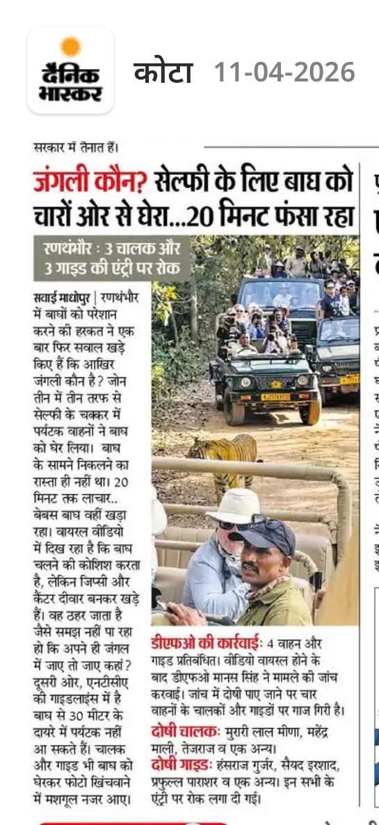 फील्ड स्टाफ की मिलीभगत की वजह से टूरिस्ट माफियाओं की चांदी 😐 बेलगाम स्टाफ,गाइड और वाहन चालक 👏
<a href="/Sanjay4India1/">Sanjay Sharma</a> <a href="/ntca_india/">National Tiger Conservation Authority</a> <a href="/ForestRajasthan/">Rajasthan Forest Department</a>