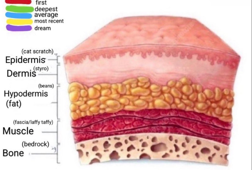 𝓐𝓲𝓻𝓲 𝓸𝓯 𝓼𝓱𝓮𝓭𝓽𝔀𝓽 tweet media