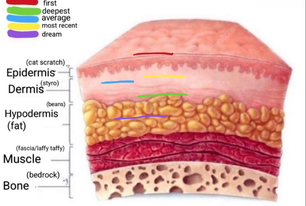 𝓐𝓲𝓻𝓲 𝓸𝓯 𝓼𝓱𝓮𝓭𝓽𝔀𝓽 tweet media