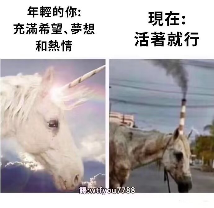 星野 まりん tweet media