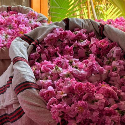 waleed8089's tweet photo. #NewProfilePic https://t.co/2pNCKWSSoj