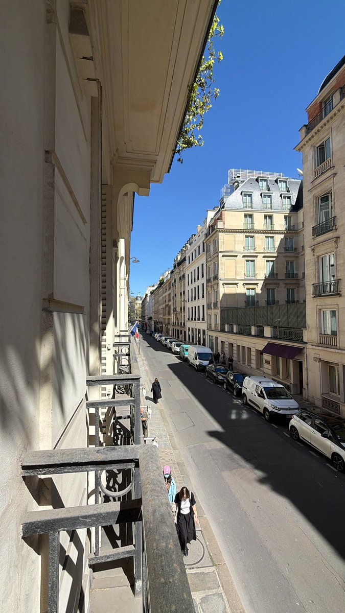 sandra djajic tweet media