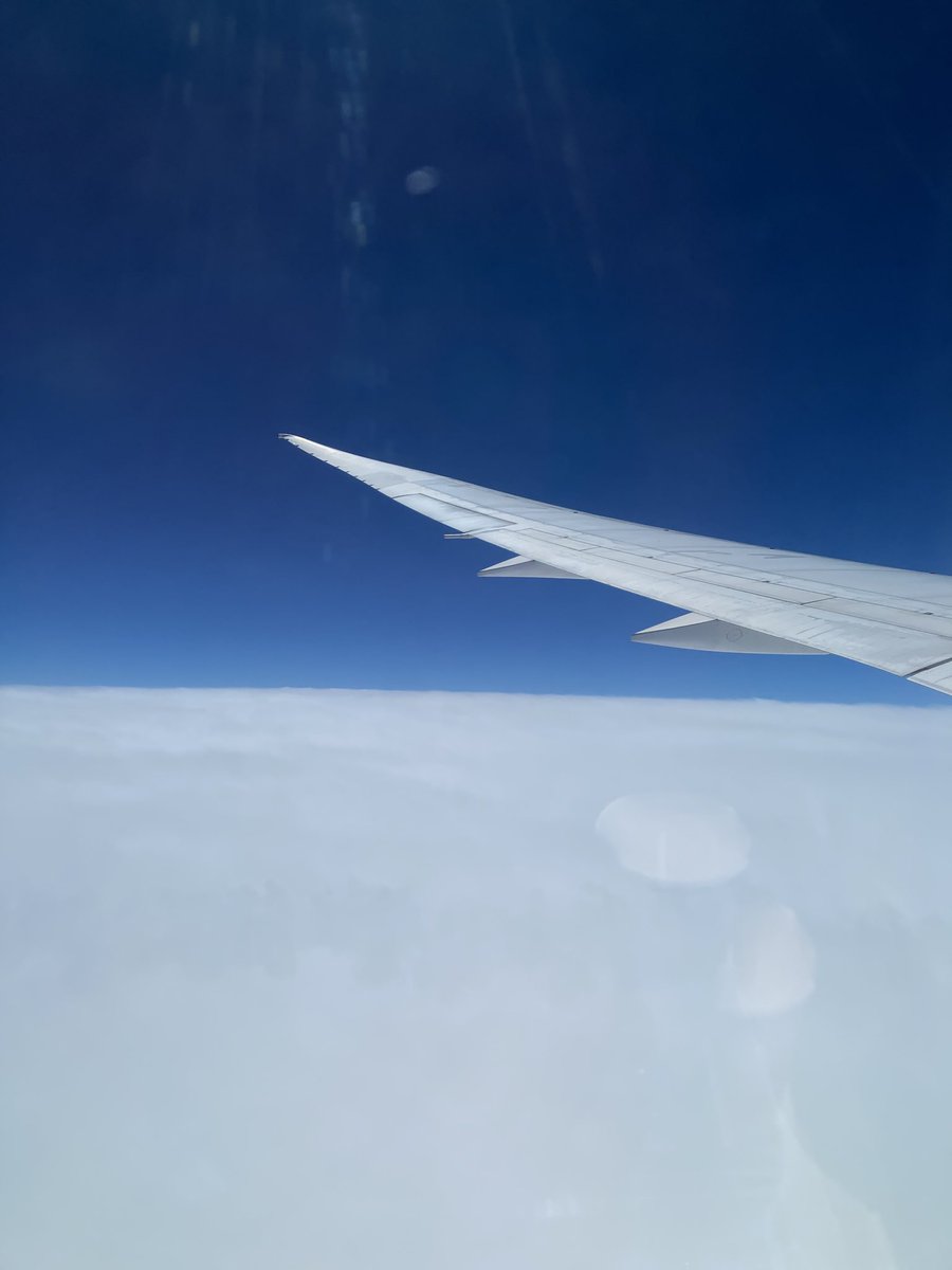 𝙈𝙖𝙢𝙚マメ狼🌙🐺 tweet media