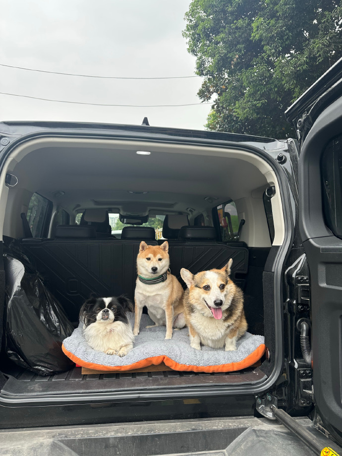 Sakthi Vel tweet media