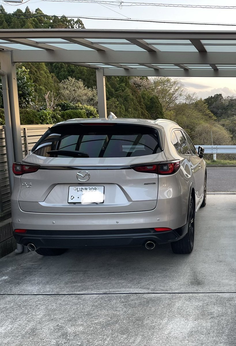 marchlover tweet media