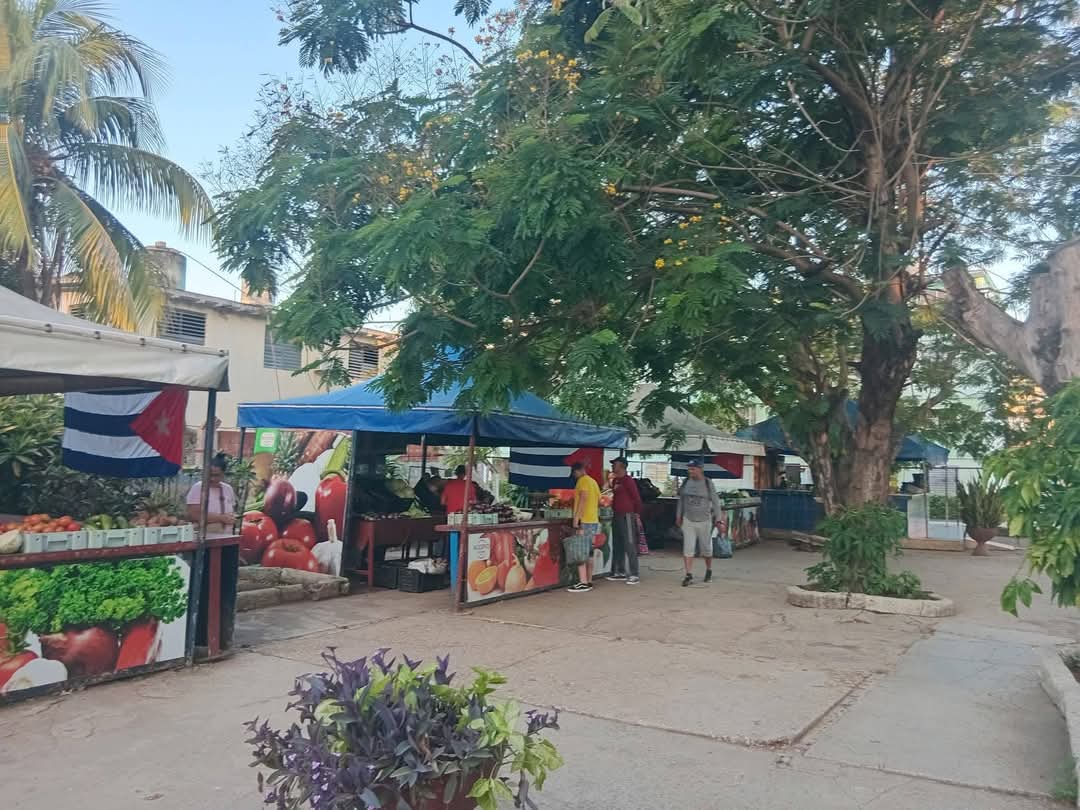 Eddie Galán Jiménez Cuba tweet media