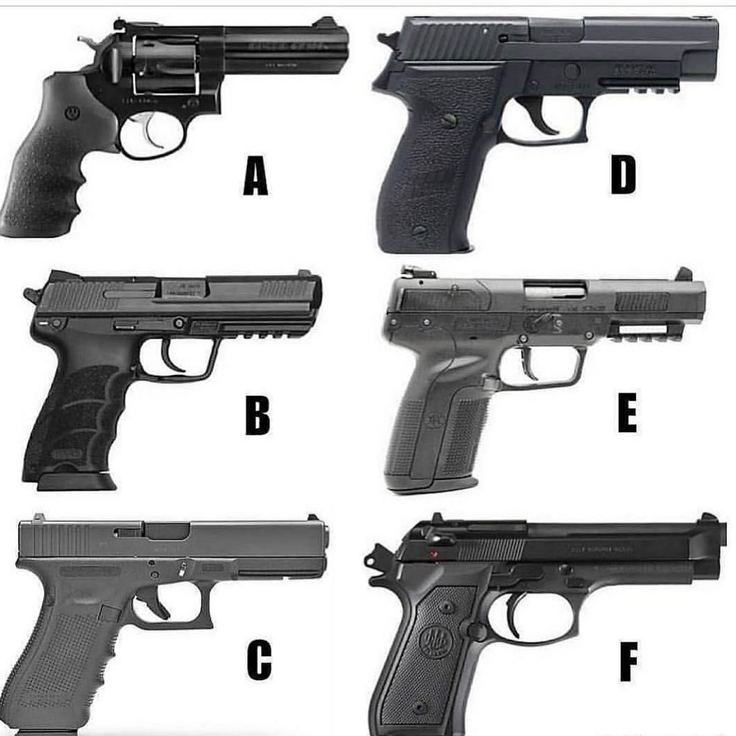 Gun Lover tweet media