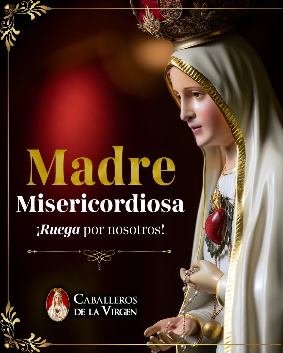Caballeros de la Virgen tweet media