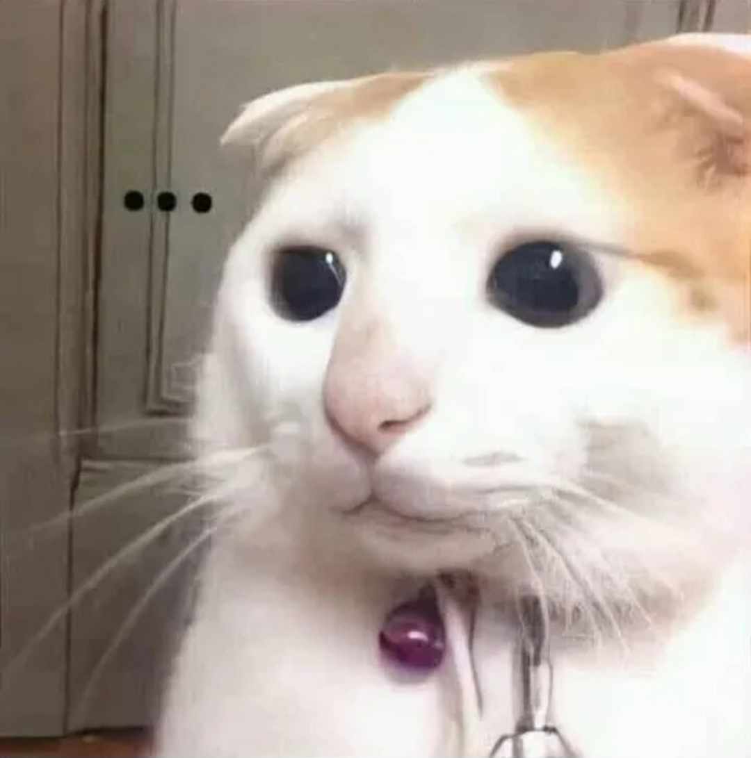 Gòng Bếu 🐲 tweet media