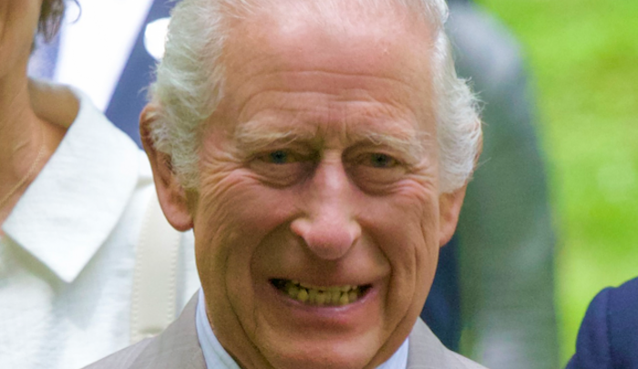 Robert Spencer tweet media