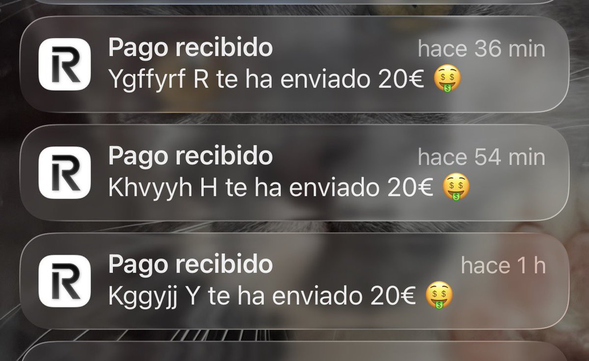 findomalessa's tweet photo. Un poquito del día de hoy, 200€ más para la nena hahaha https://t.co/6fmUiWlvVE