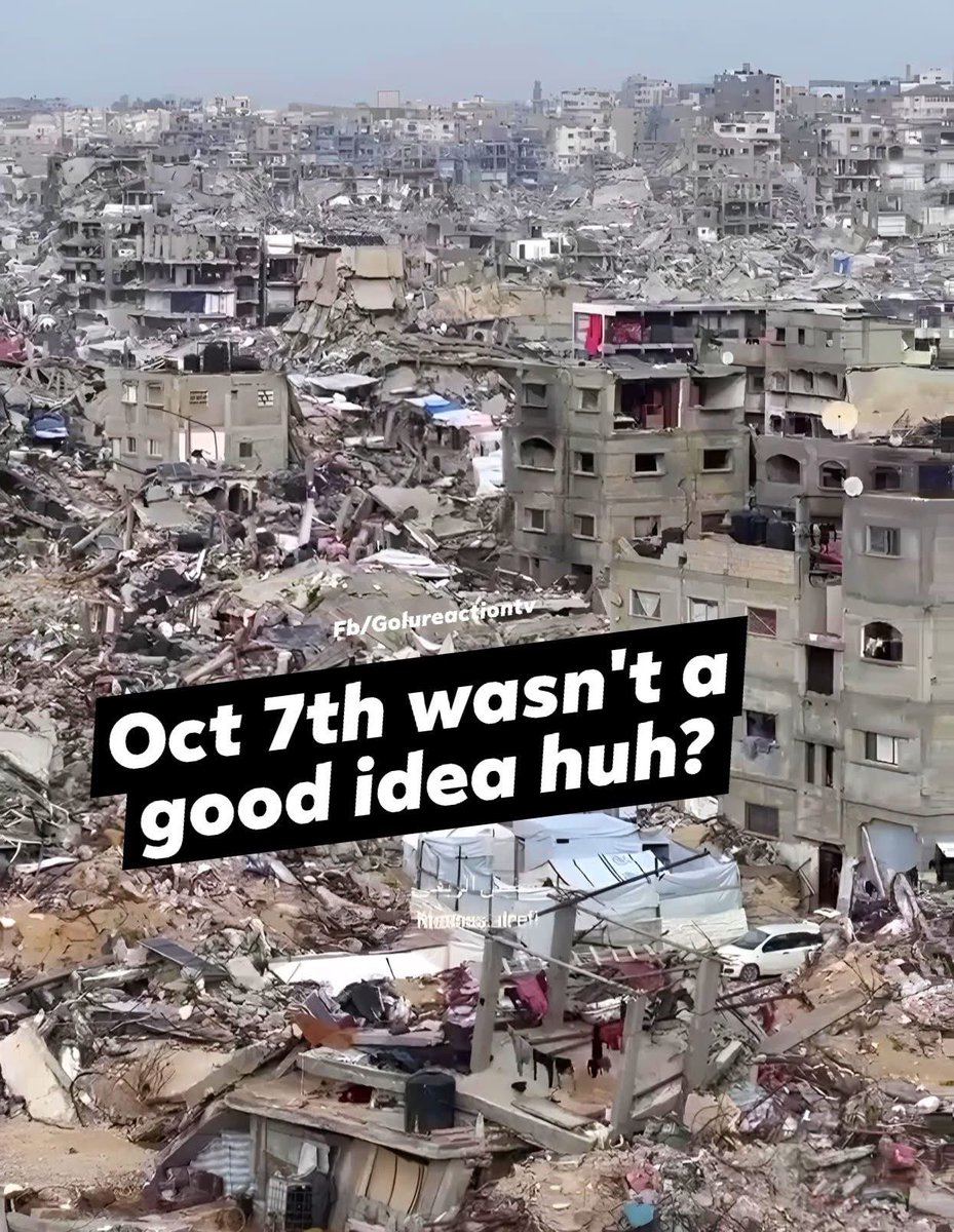 Bleek 🇳🇱 🇮🇱 tweet media