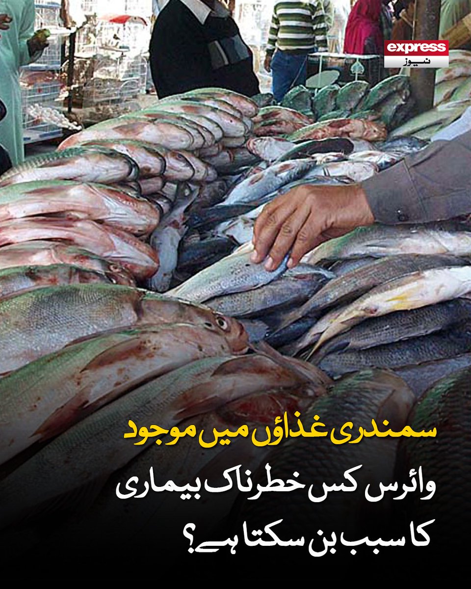 Roznama_Express's tweet image. سمندری غذاؤں میں موجود وائرس خطرناک بیماری کا سبب بن سکتا ہے

مزید پڑھیے:express.pk/story/2807927/1

#Virus #Health #Seafood #Fish #ExpressNew