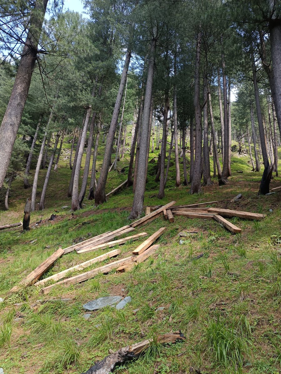 zahir Majeed tweet media