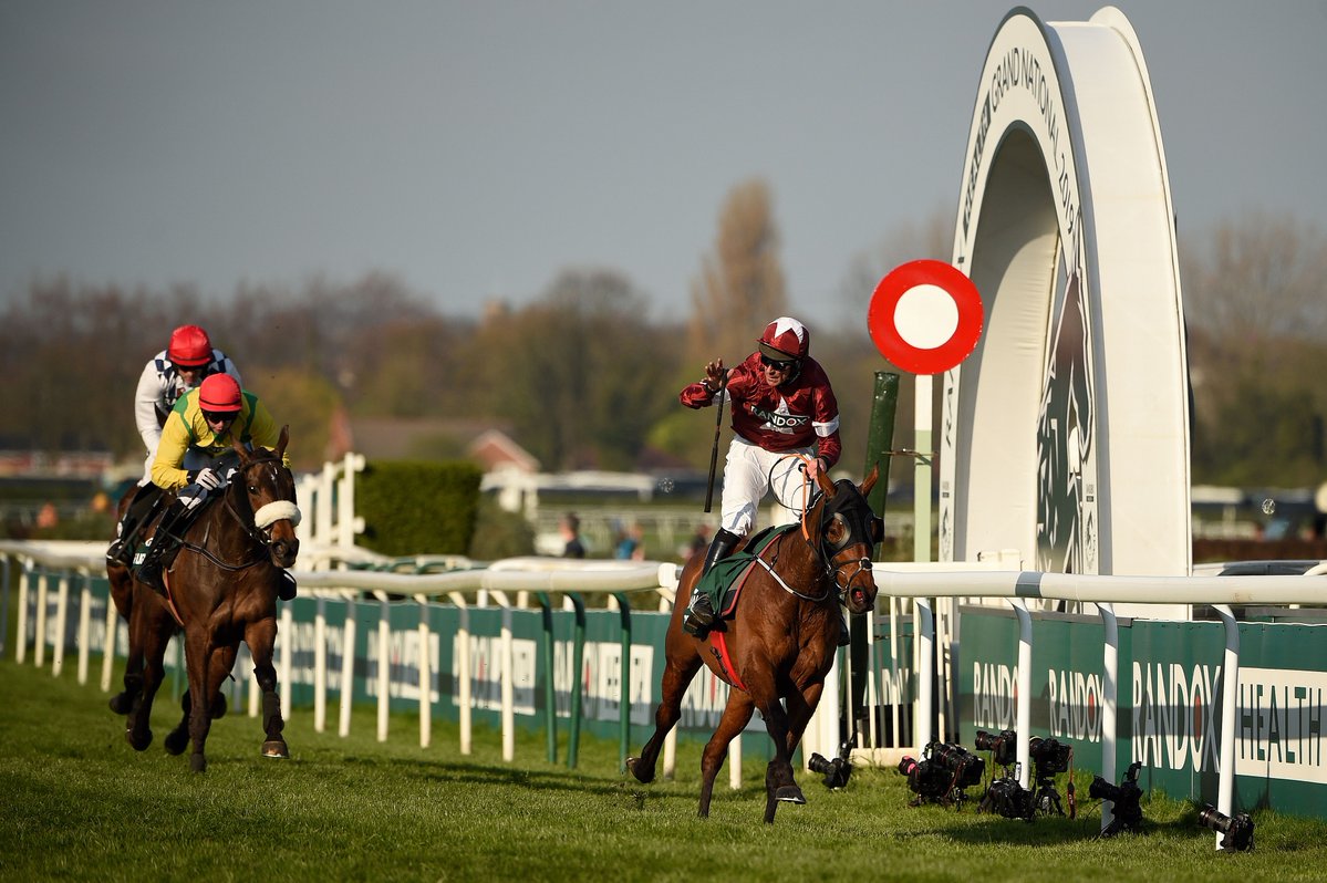 My Racing Tips tweet media