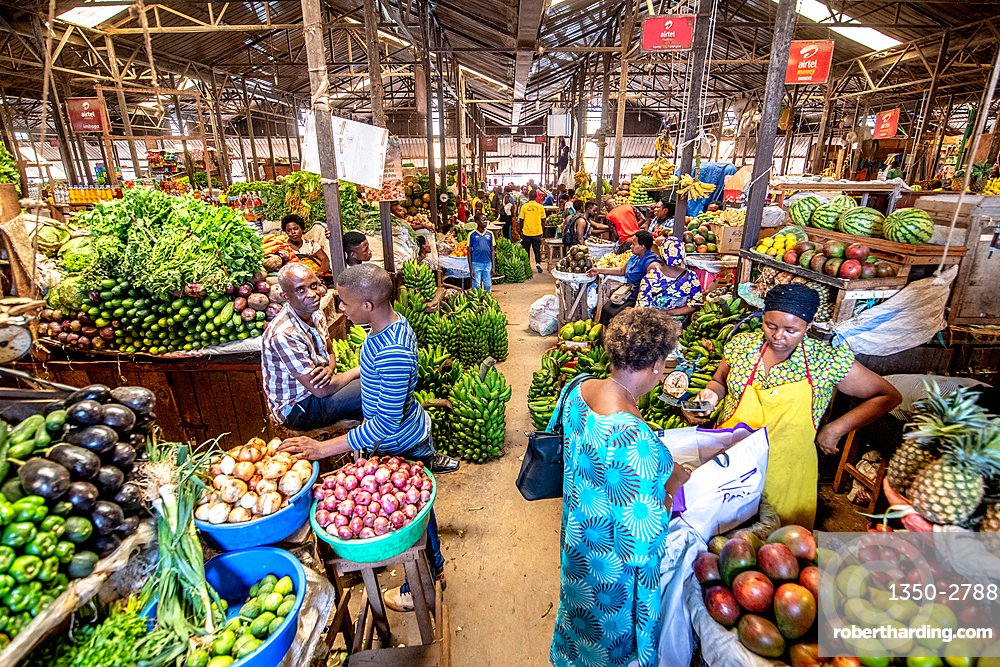 We4Climate tweet media