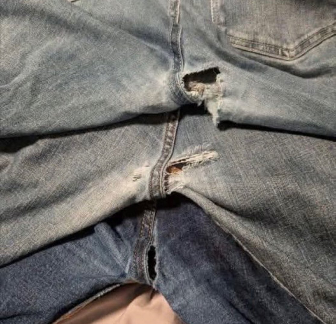 Gazetory tweet media