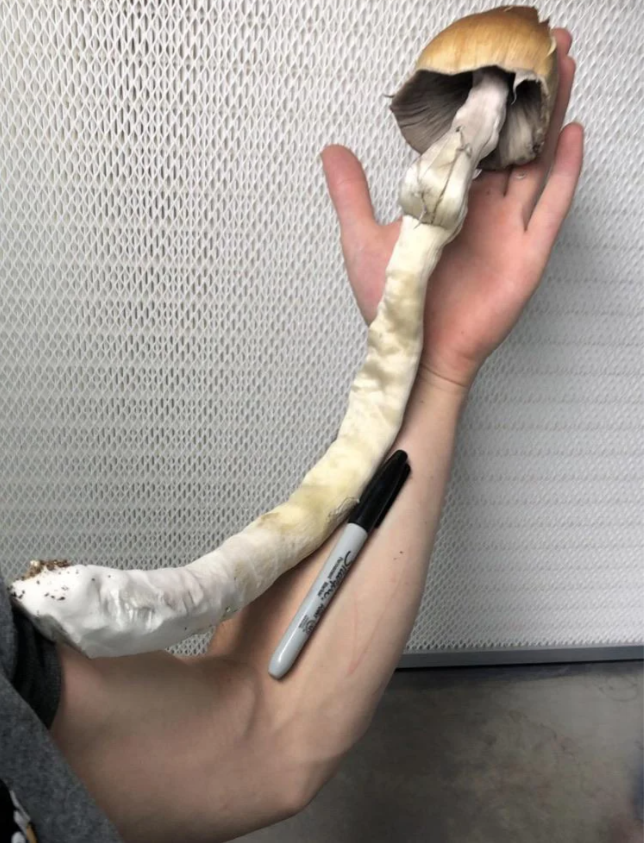 Paul Brown tweet media