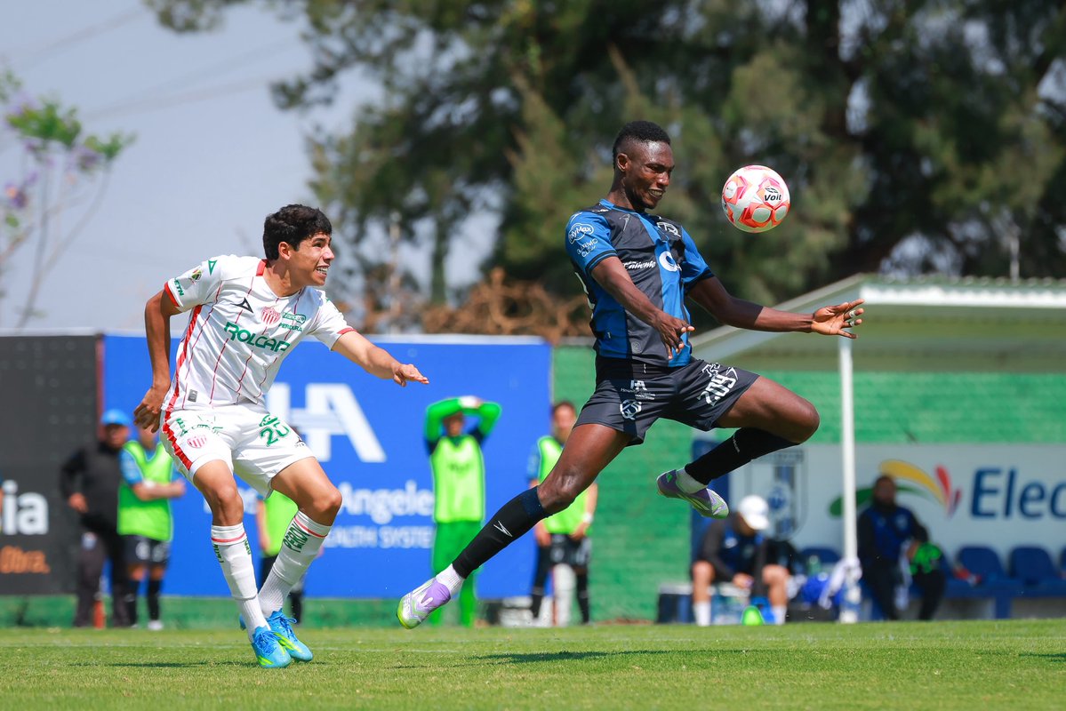 Club Querétaro Fuerzas Básicas tweet media