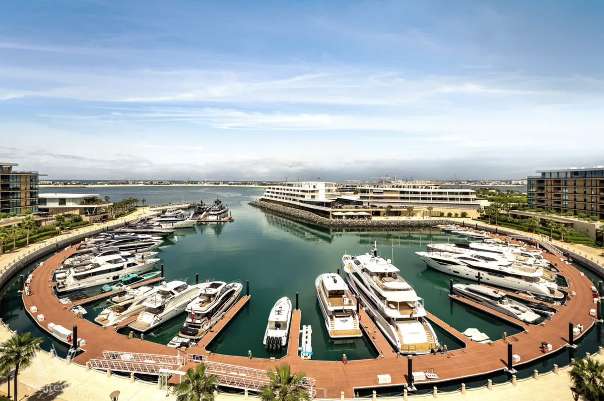 Panic Selling tweet media