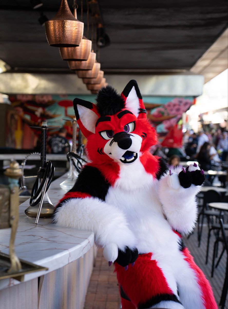 Donco04 🔜#SAFE26cl tweet media