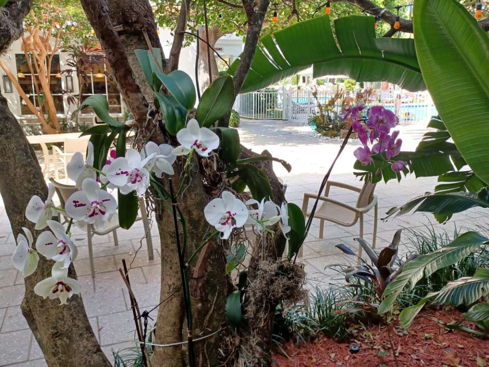 Lago Mar Resort tweet media