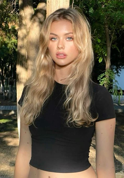 ChaoticDCrypto tweet media