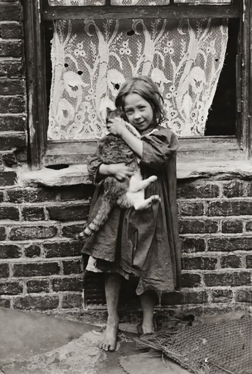 ArchaeoHistories tweet media