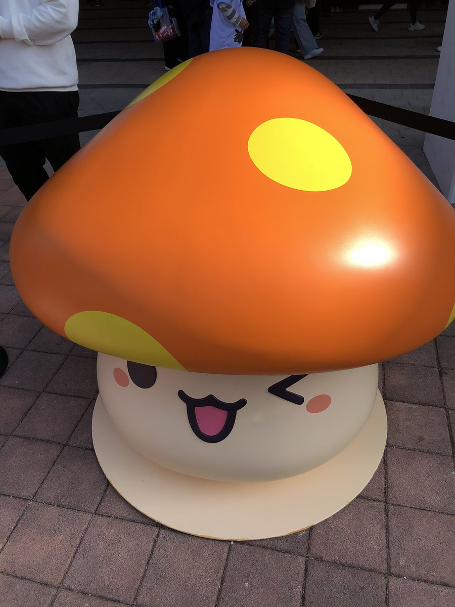 🍄 tweet media