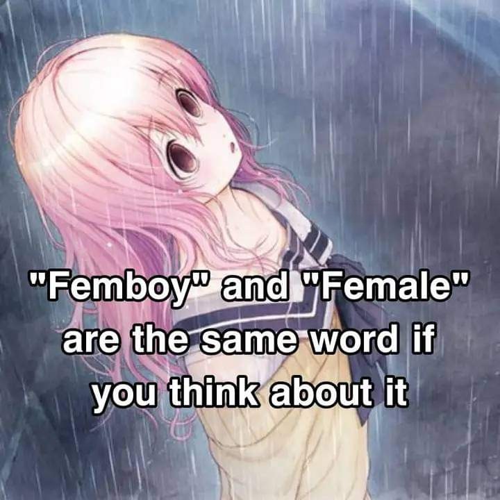 Anime Daily tweet media