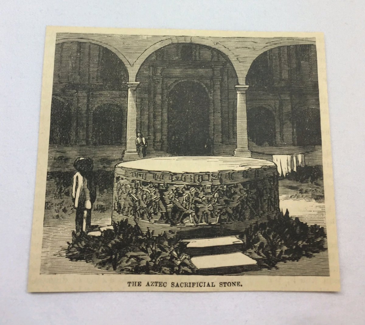 Imaginario Prehispánico tweet media