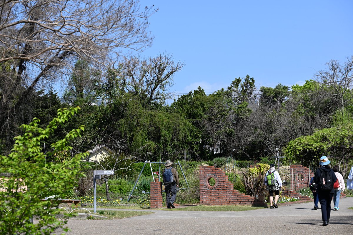 kensukevr6 tweet media