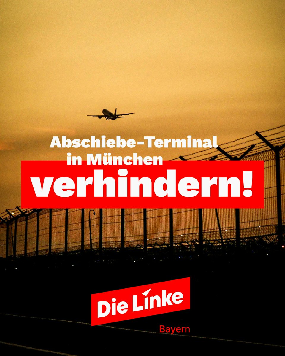 Dara 🇩🇪 tweet media