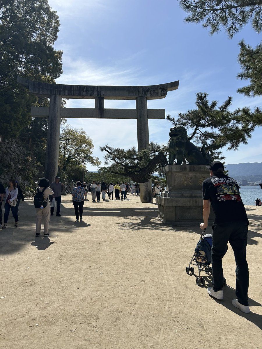 みわぱんだ【NZ在住】 tweet media