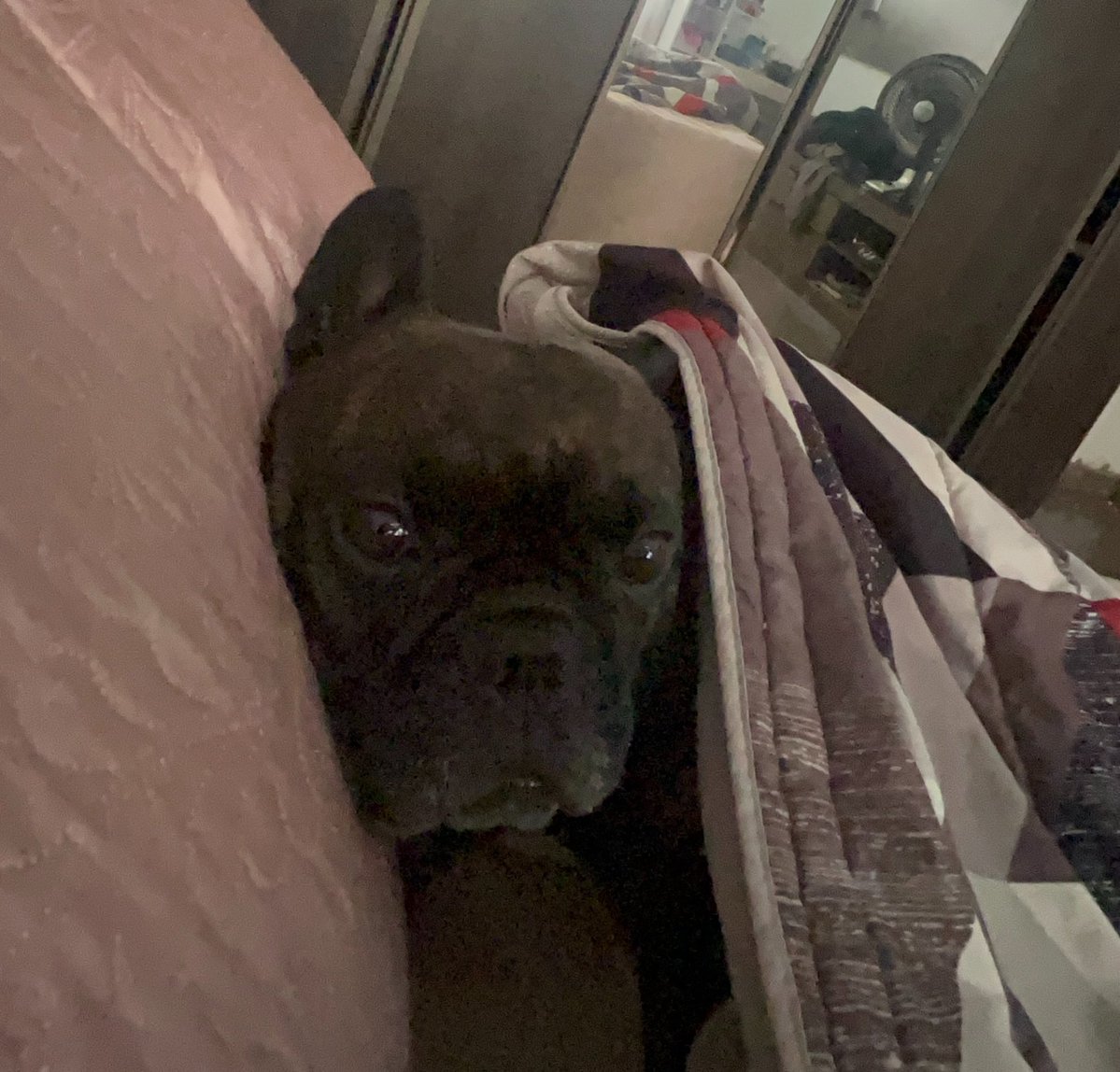 Thaiscrevendo tweet media