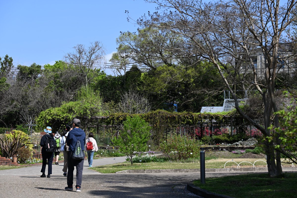 kensukevr6 tweet media