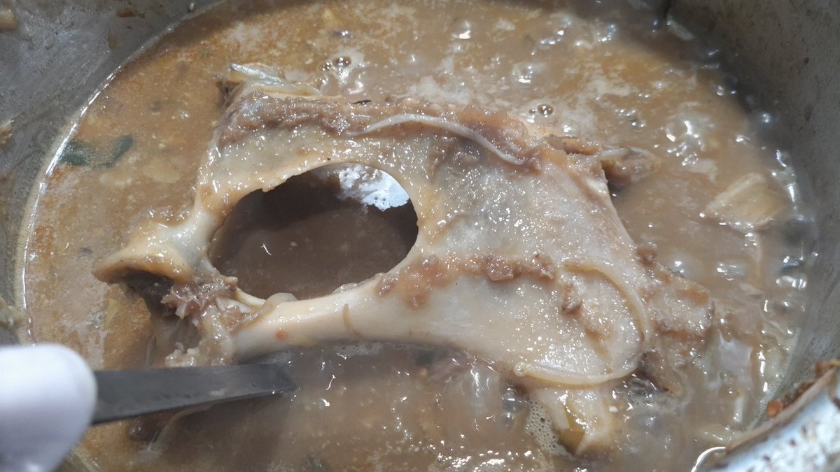 今夜は久しぶりにソロキャン予定だったが、朝からネギの食べ過ぎでお腹が痛くて断念www
今回は鹿のガラを40時間煮込んだカレーを食べる事にした♪ハンターはほとんどが肉しか持ち帰らないが、肉以外にも使える部分は多く手を加えるだけで美味しく食べられるのだ♪