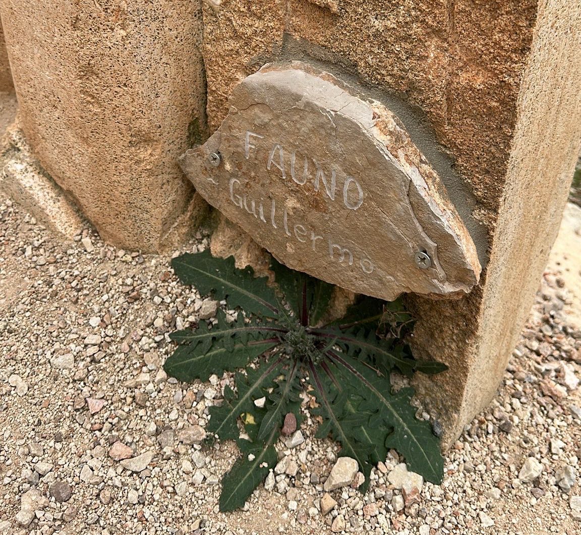 WEBBTERTAINMENT 🎙 tweet media